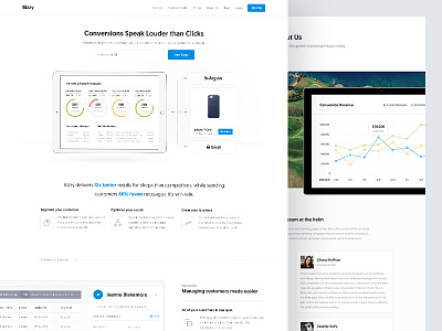 Bizzy marketing website chart conversion dashboard data graph metrics phone segmentation ui web design