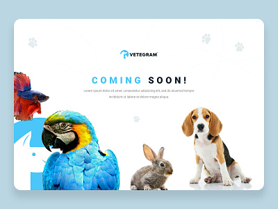 Coming Soon Page Design coming soon design landingpage ui ux