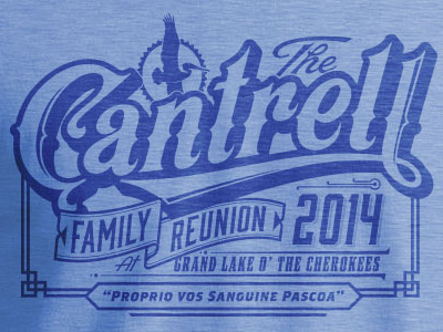 Family Reunion Shirt illustration shirt vector