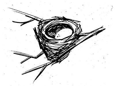 Bird Nest Illo illo illustration illy pen pencil