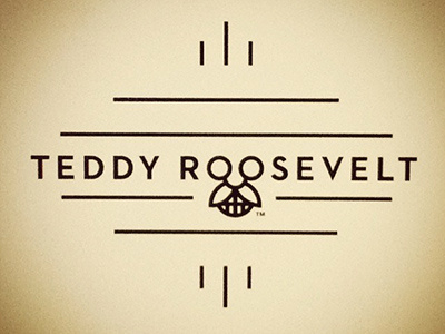 Teddy roosevelt