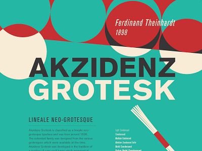 Typography poster series / Akzidenz Grotesk anatomy design font graphic illustration poster retro typeface typography