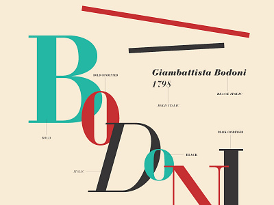 Typography poster series / Bodoni anatomy design font graphic illustration poster retro typeface typography