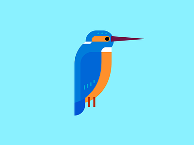 Kingfisher bird geometric illustration illustration kingfisher minimal