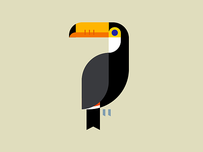 Toucan bird bird icon bird illustration minimal bird toucan