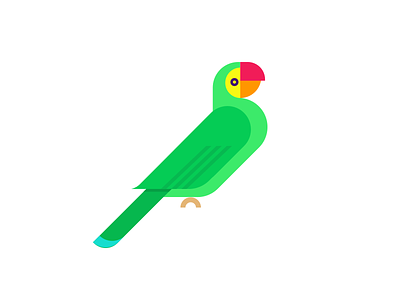 Parrot bird bird icon green icon illustration parrot