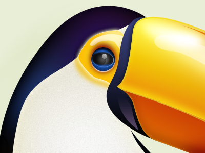 Toucan icon