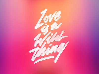 Love is a Wild Thing lettering procreate type typography