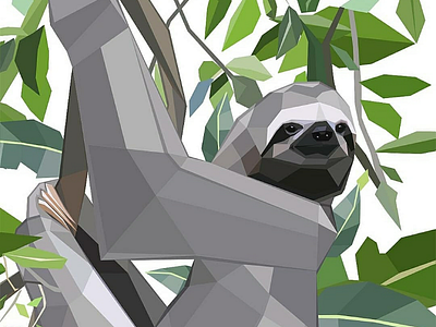 Polygonal Sloth brazil graphic art nature polygonal sloth