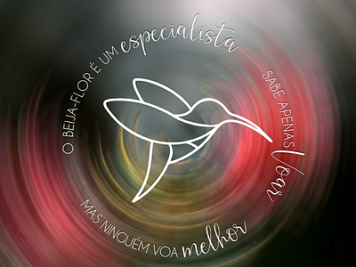 Logo Beija-flor / Hummingbird beija flor hummingbird logo logotipo logotype
