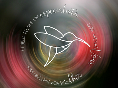 Logo Beija-flor / Hummingbird