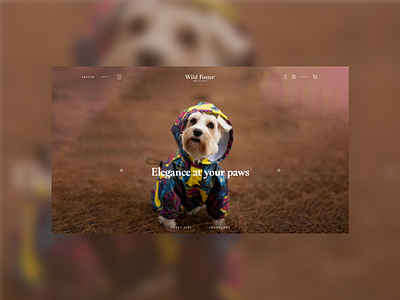 Wild Foster website corporate identity cute minimal pet ui ux designer web webdesign webflow website