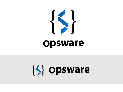Logo design for a software company