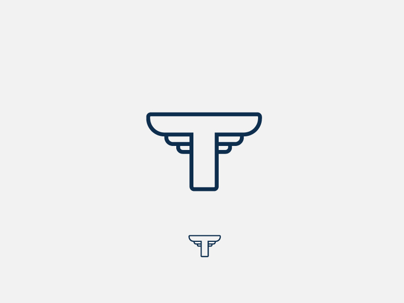 Final Mark branding navy auto wings t letter t logo type lettering