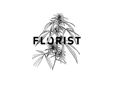 Florist branding cannabis illustration plant