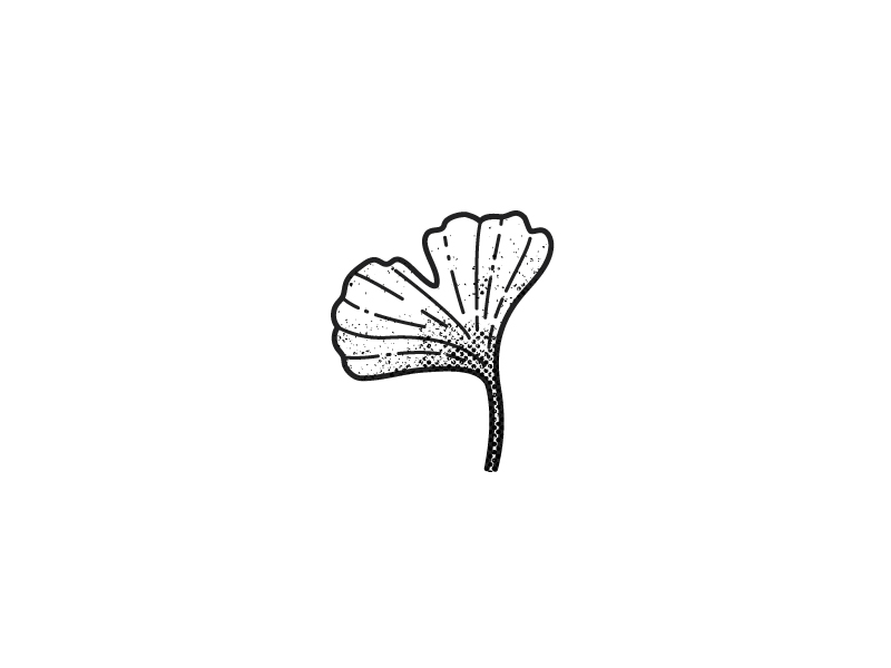 What Does Ginkgo Leaf Tattoo Mean  Represent Symbolism