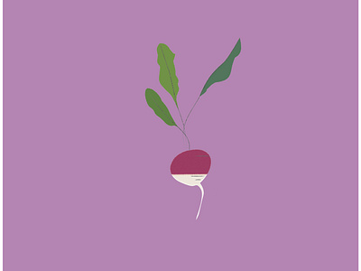 Little Radish