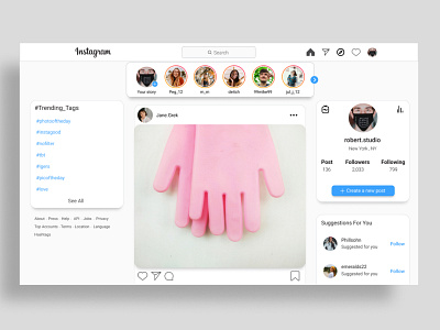 instagram home page web