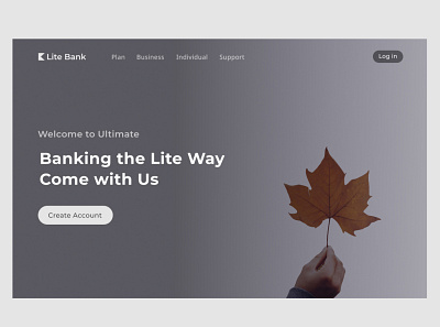 Lite bank web app design.(fictional bank) branding design illustration logo minimal ui ux web web design website