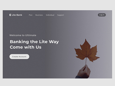 Lite bank web app design.(fictional bank)