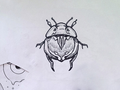 Insect character sketch character concept hand drawn ink insect sketch