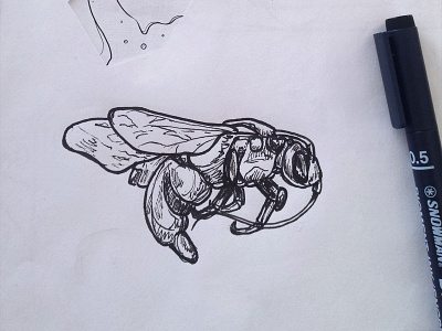 Insect sketch drawing hand drawn ink insect sketch