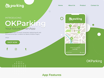 Parking Landing Page Design user interface design