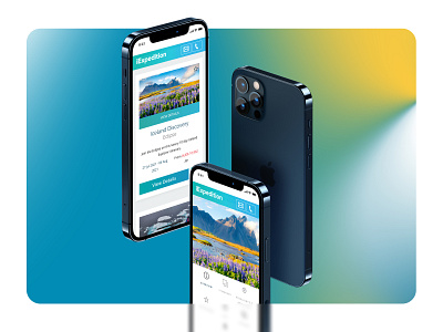 Design for iExpedition - mobile design icon illustration typography ui ux web