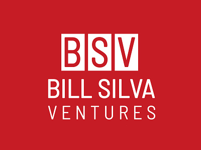 BSV logo branding design illustration logo