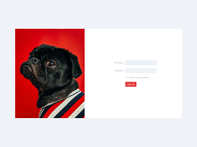 Simple Form css design dog form design pug tailwindcss web