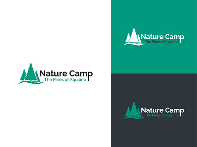 Nature Camp Logo & Brand Identity Design art branding camp camp logo custom design flat logo graphic design icon logo logo design logos logotype minimalist logo nature art nature camp nature illustration nature logo typography vector