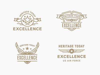 Air Force "Excellence" Badges