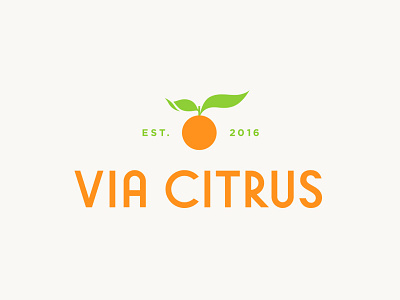 Via Citrus branding citrus farm food fresh fruit identity illustration leaf logo orange typography
