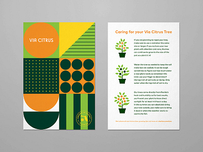 Via Citrus badge branding card florida food fruit geometric illustration logo orange plant typography
