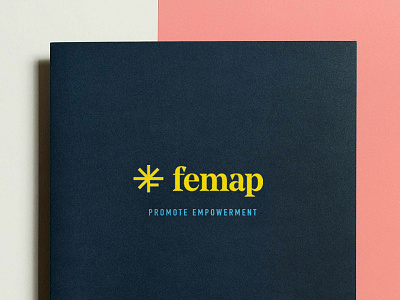 Femap branding business card identity illustration lockup logo mexico poster print stationary texas typography