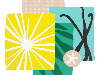 Vanilla branding drink flavor illustration modern packaging pattern plant sun texture vanilla