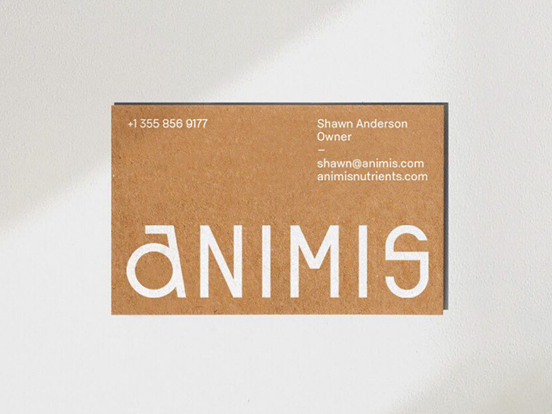 Animis Nutrients Business Card stationary business card print modern branding typography logo