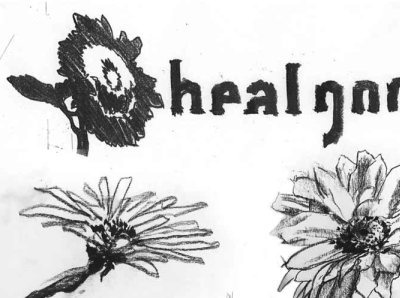 HealGood branding design graphic design illustration logo typography