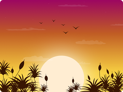 Sunset design illustration