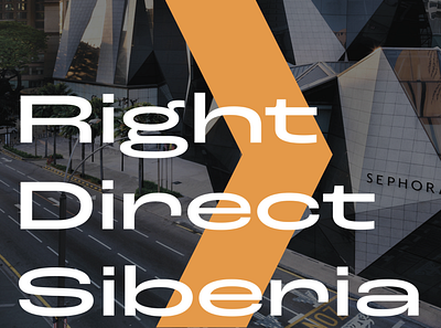 RightDirectSiberia art branding design identity design illustration logo typography vector