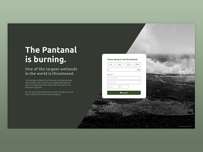 Pantanal Donation - Landing Page 003 credit card dailyui design donation donations forest landing page landing page concept landing page design minimal web web design