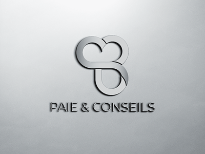 SB Paie & Conseils art consulting design icon logo mockup