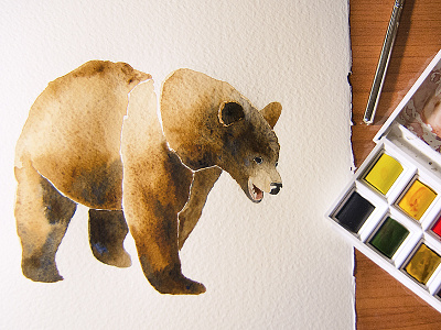 Watercolor Bear bear grizzly watercolor wip