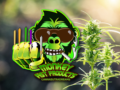 Cannabis logo design illustration logo vector