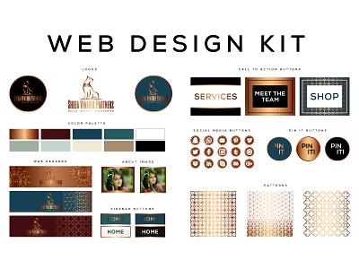 Web design kit branding illustration ui ux vector