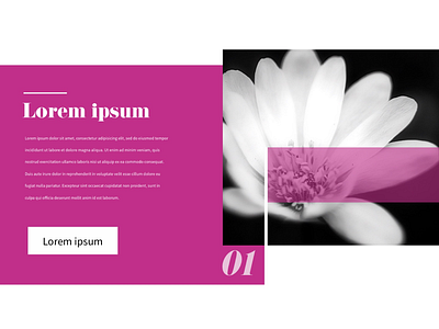 Offsetting design ui web design website