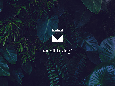 King of the jungle branding corporate identity king logo logo design start up tagline