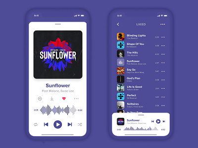 Music Player Concept