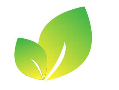 Leaf design forest logo illustration leaf logo nature plant