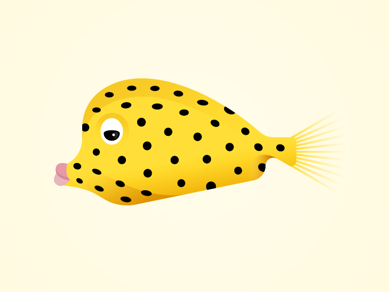 Box Fish by Kevin Burr on Dribbble